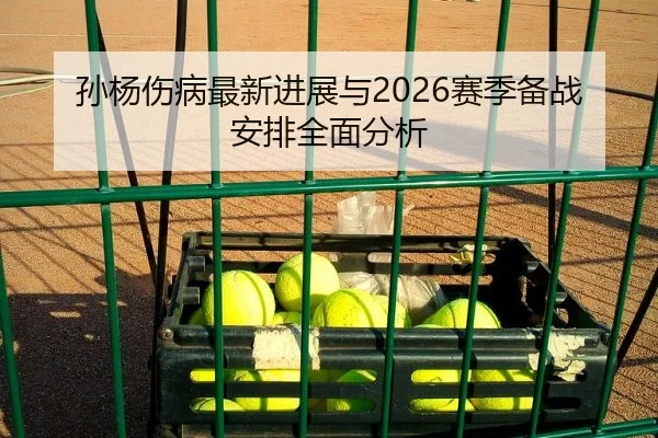 孙杨伤病最新进展与2026赛季备战安排全面分析