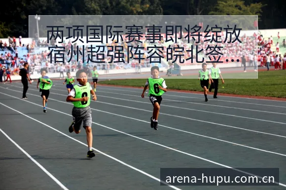 两项国际赛事即将绽放宿州超强阵容皖北签表路径与晋级前景数 - 虎扑